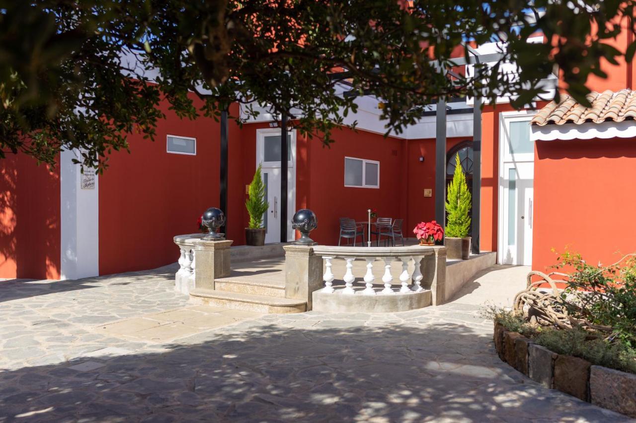 Albor * Santa Brígida